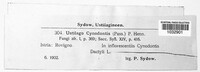 Image Associated With the Occurrence